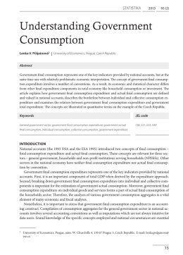Understanding Government Consumption