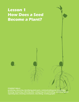 Lesson 1 How Does a Seed Become a Plant?