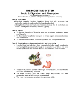 THE DIGESTIVE SYSTEM Topic 5