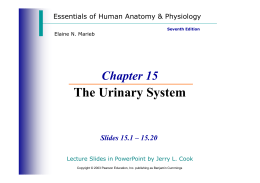 The Urinary System The Urinary System