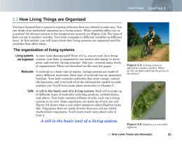 2.2 How Living Things are Organized