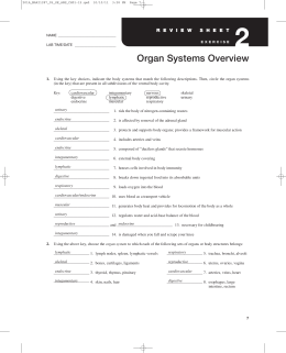 Organ Systems Overview