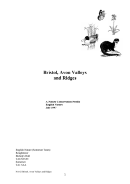 Bristol, Avon Valleys and Ridges