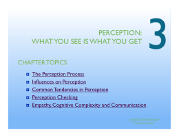 perception: what you see is what you get