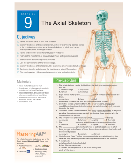 9 The Axial Skeleton