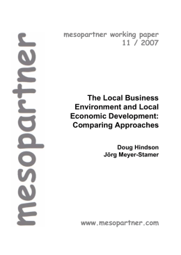 The Local Business Environment and Local