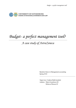 Budget- a perfect management tool?
