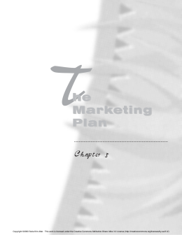 Chapter 5: The Marketing Plan