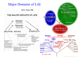 Major Domains of Life