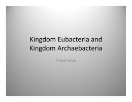 Kingdom Eubacteria and Kingdom Archaebacteria