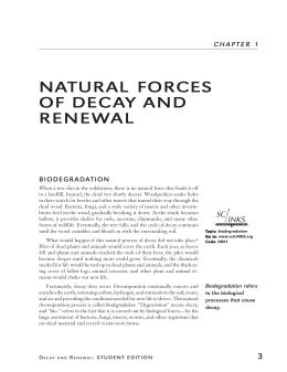 natural forces of decay and renewal