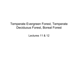 Temperate Evergreen Forest, Temperate Deciduous Forest, Boreal