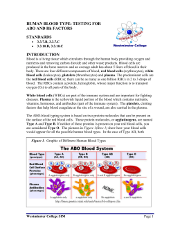Human Blood Type: Testing for ABO and Rh