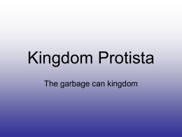 Kingdom Protista - dwight.k12.il.us