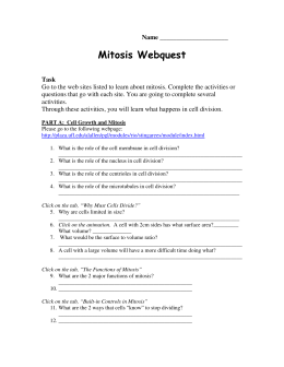 Mitosis Webquest - Airport High School