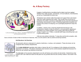 Cells: A Busy Factory