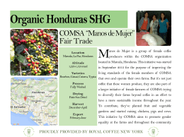 Organic Honduras SHG - Royal Coffee New York
