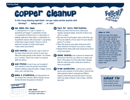 Copper Cleanup