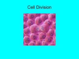 Cell Division - Parma City School District