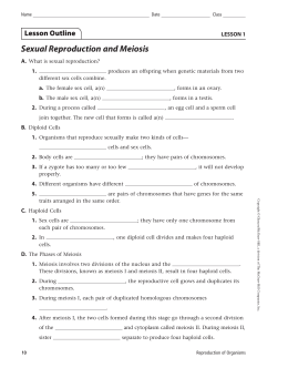 Lesson Outline Sexual Reproduction and Meiosis