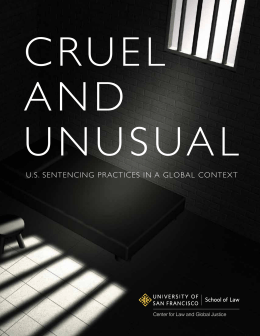 U.S. Sentencing Practices in a Global Context
