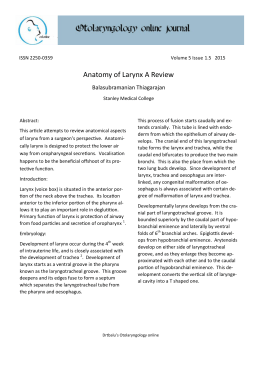 Anatomy of Larynx A Review
