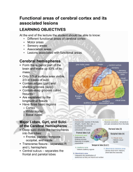 Functional areas of cerebral cortex and its associated lesions