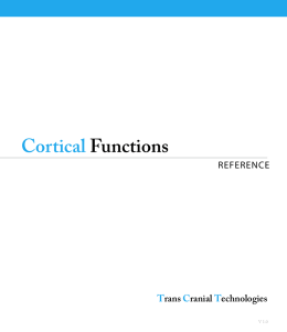 cortical functions PDF - Trans