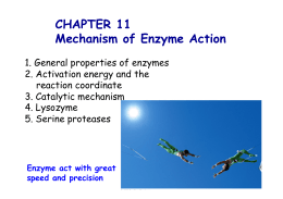 CHAPTER 11 Mechanism of Enzyme Action