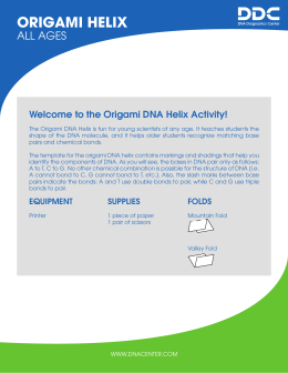 Origami DNA Helix - DNA Diagnostics Center