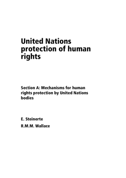 United Nations protection of human rights