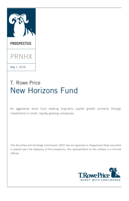 New Horizons Fund