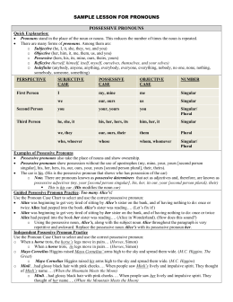 sample lesson for pronouns possessive pronouns