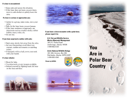 You Are in Polar Bear Country