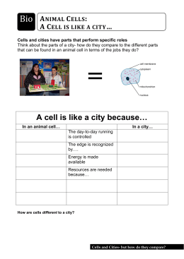 A cell is like a city because…