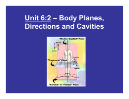 Unit 6:2 – Body Planes, Directions and Cavities