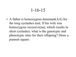 • A father is homozygous dominant(AA) for the long eyelashes trait. If