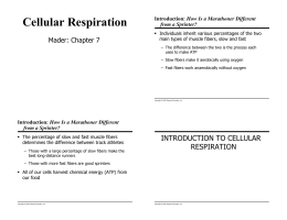 Chapter 7 - Cellular Respiration