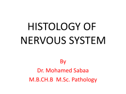 HISTOLOGY OF NERVOUS SYSTEM