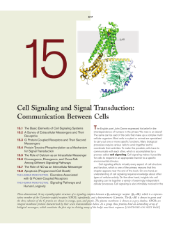 Cell Signaling and Signal Transduction: Communication Between