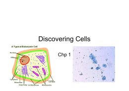 Discovering Cells sec. 1 notes - Parkway C-2