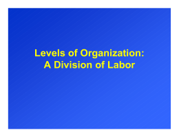 Levels of Organization 1