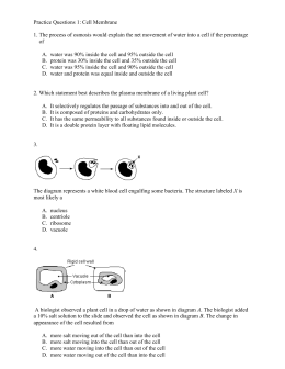 Practice Questions 1: Cell Membrane