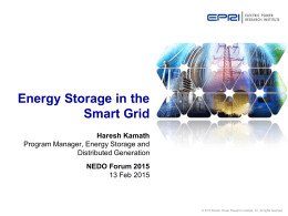 Energy Storage in the Smart Grid