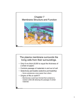 Chapter 7 Membrane Structure and Function The plasma membrane
