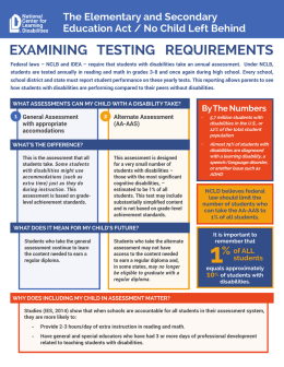 EXAMINING TESTING REQUIREMENTS