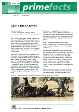 Cattle breed types - NSW Department of Primary Industries