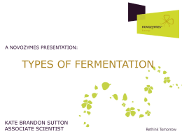 types of fermentation