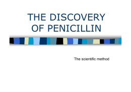 The discovery of penicillin.ppt