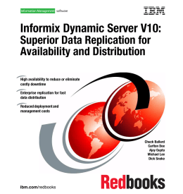 Informix Dynamic Server V10